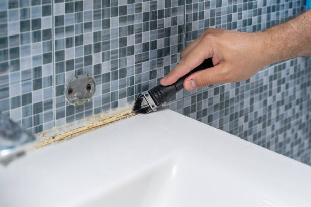 Best Industrial Mold Remediation in Kingston Estates, NJ
